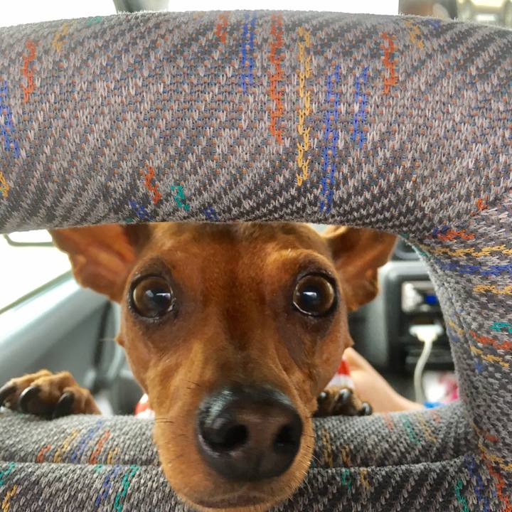 8764a282 a548 450a 967e 38deaf418d5e