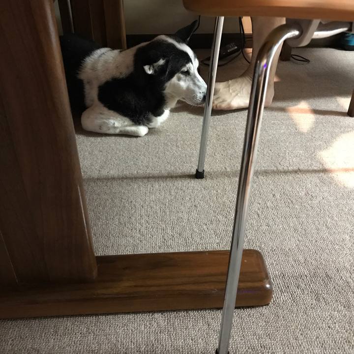 8764fe33 c0e3 4131 916d 58f6c8f66f54