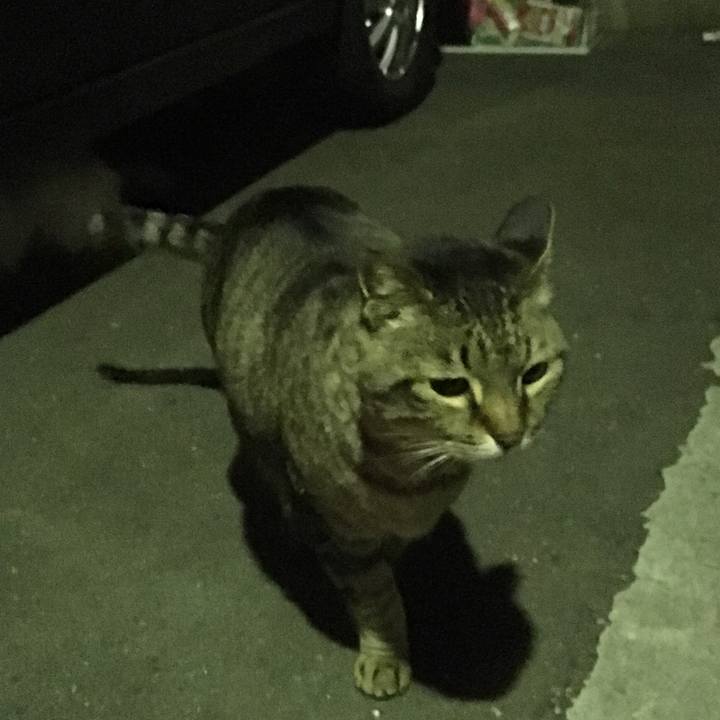 87665dca 15e7 4715 929e a8a5e7a3fd8b