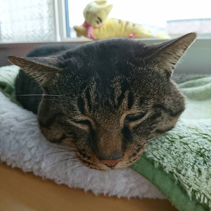 87667191 e8b5 441f b6bc 0e0bcc79e650