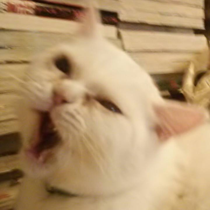 87669cc9 45b0 4f4b 8a20 7e891019fe53