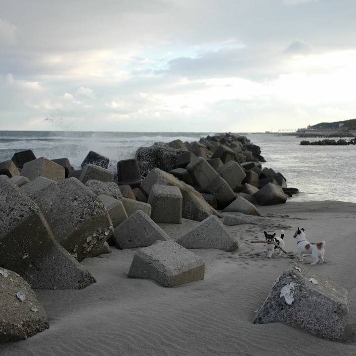 87688389 0023 4ac4 ae5e 644878fb84e4