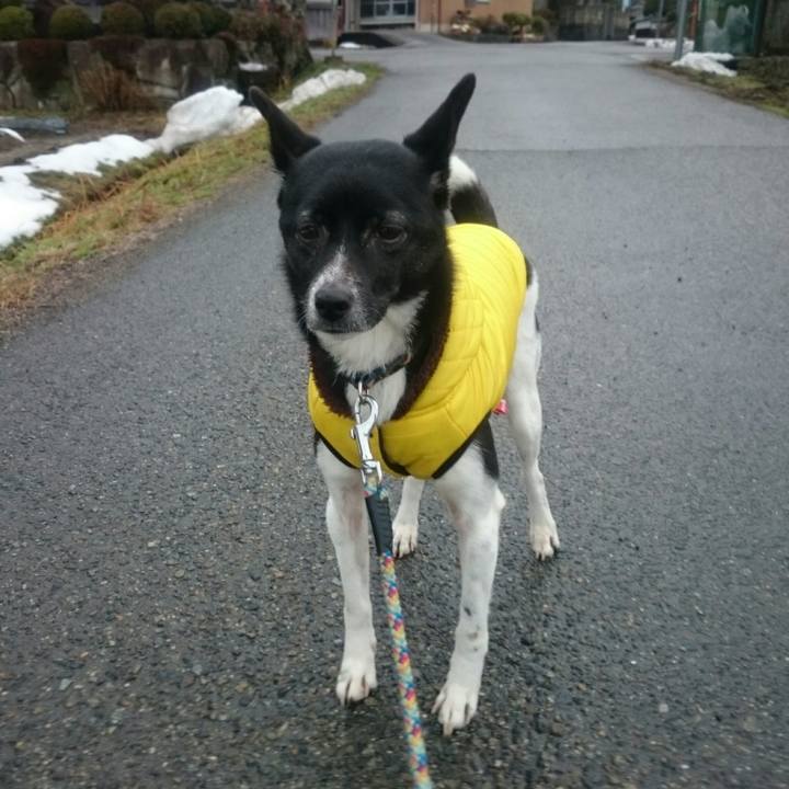 8768b90c a918 4251 9e28 78ac244f017a