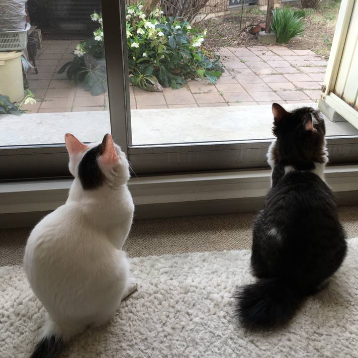 8769940c 87e2 4ba0 87b7 108e557fb4f3