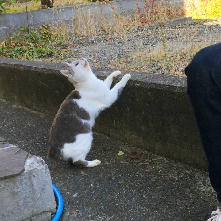 8769b29e 6592 4c1b 9e5e db95fff353b2