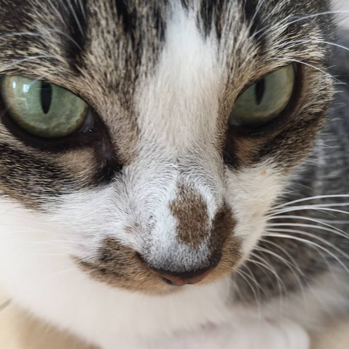 8769e7cb d565 49d1 ae58 61e1da579bc7