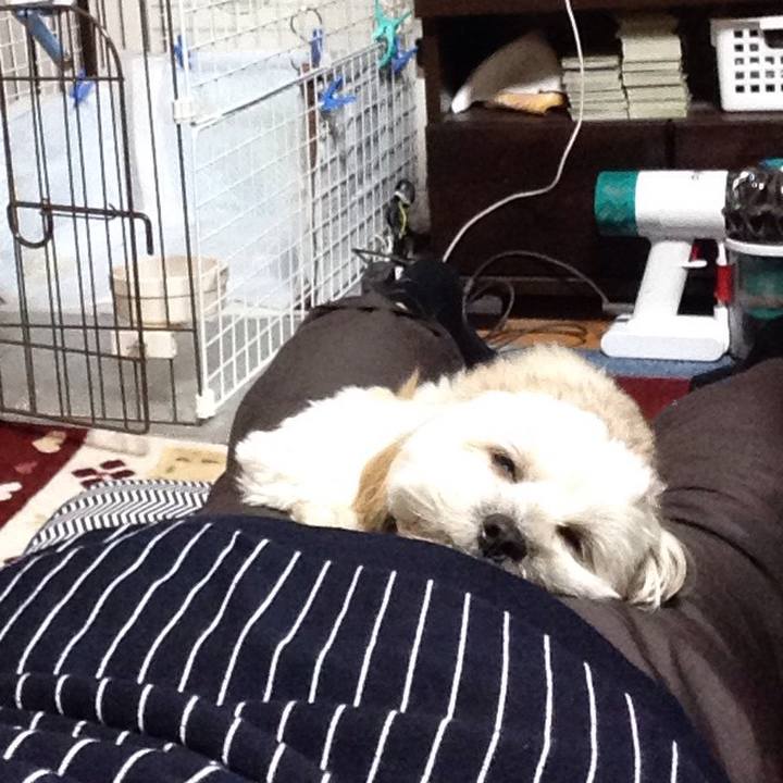 876a900d cea0 47bf 9a49 cb68000363d6