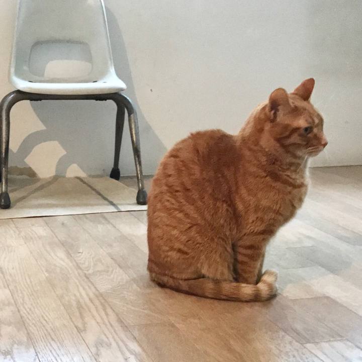 876af2f3 277d 422c 9aee 8055fef1d98e