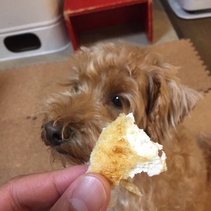 876b26a2 0ba3 4668 b28e 9ca264b19e2d