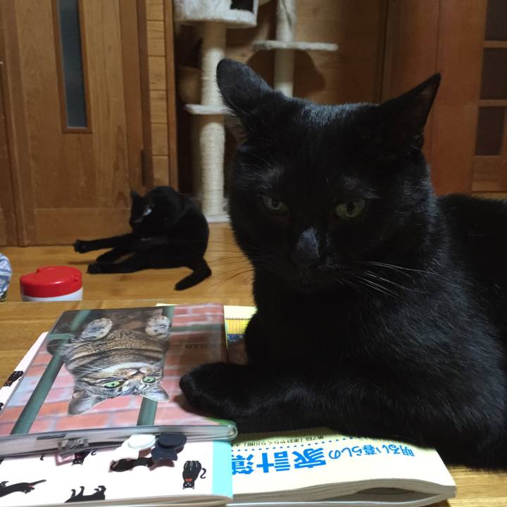 876b415c d1f8 4e37 8c27 709c794f9352