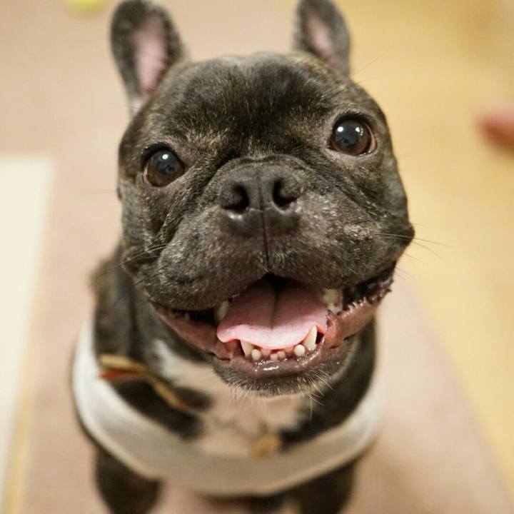 876b5c77 2d69 4cdd bc8d 3380e640e97a