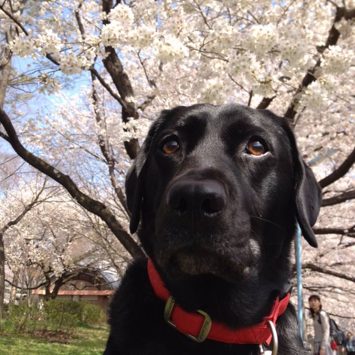 876bccf7 3b36 4696 86b2 79edef27d787