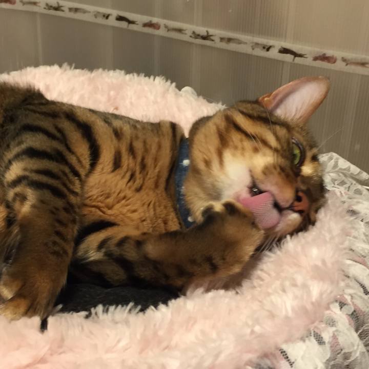 876c669f 6c68 4fca a270 f538d2238bb7