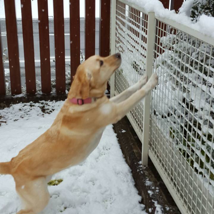 876d41a5 cc3c 406a a000 05961b68836d