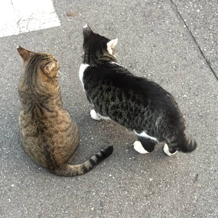 876d77d5 9e9c 4f48 a629 f05446942d3d