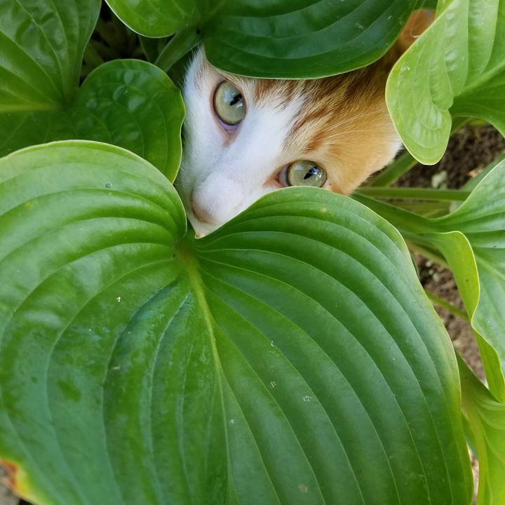 876db3a7 9bdb 40ff 85cc 69aeb0b6b98b