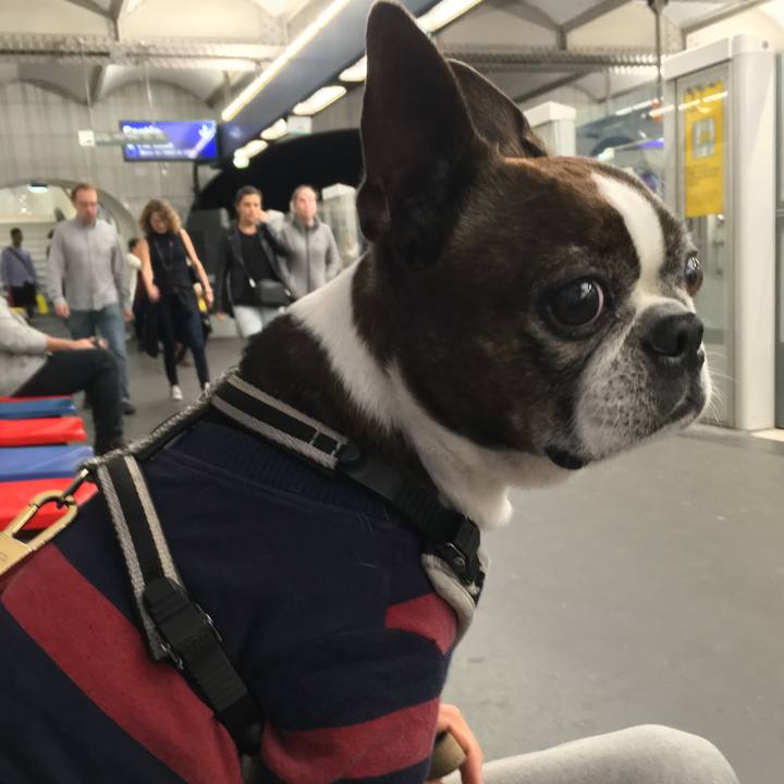 876de676 ca50 400c a0ff 61365e87b977