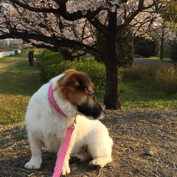 876df515 05ee 4956 8c19 9df1ec0ad85c