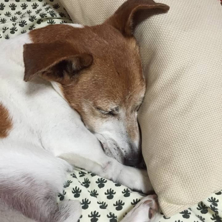 876e57e9 ca06 44ad a364 44e465400e18