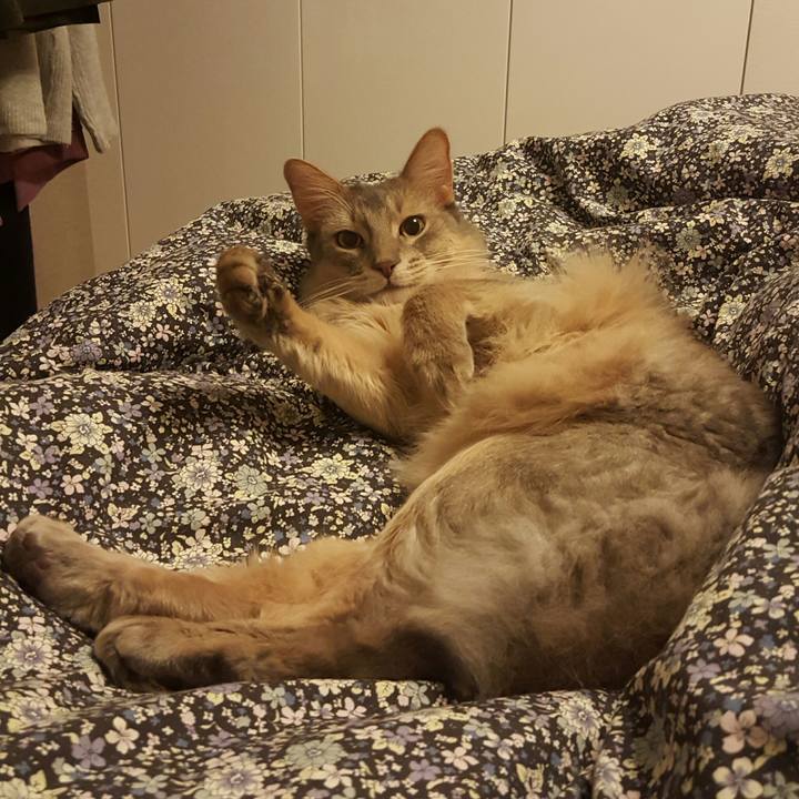 876ef295 96cb 44e6 a7a5 522929d2bd61