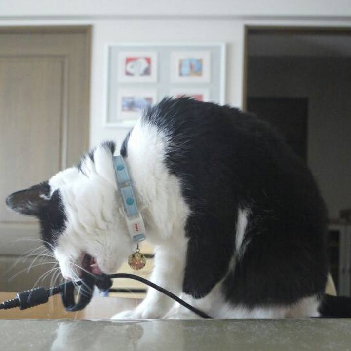 876f88fb c500 4541 bdc3 91ebc0bcdd2e