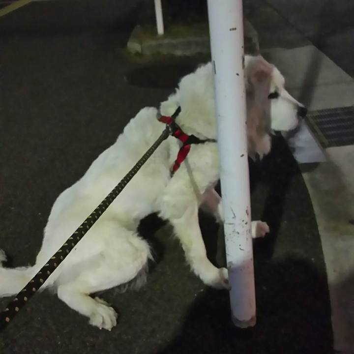 8770d19d 3462 4891 8530 5d63017f1c99