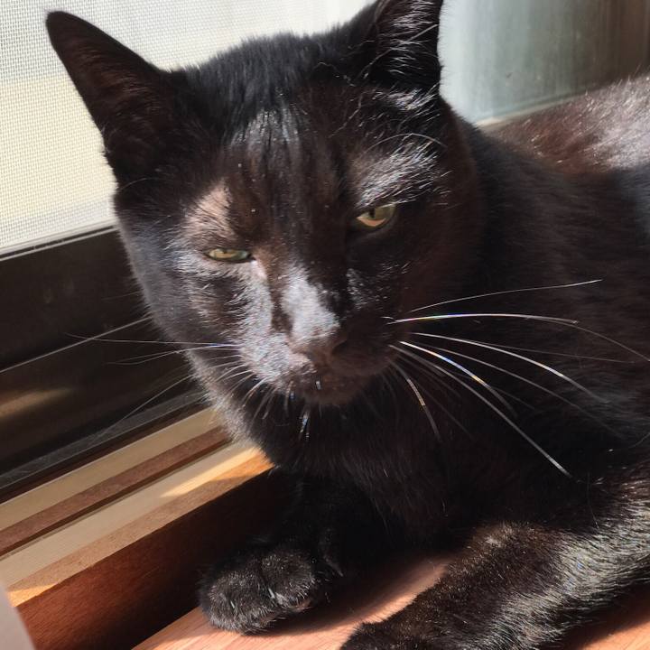 877171c5 c559 4374 8743 f6faf02fc388