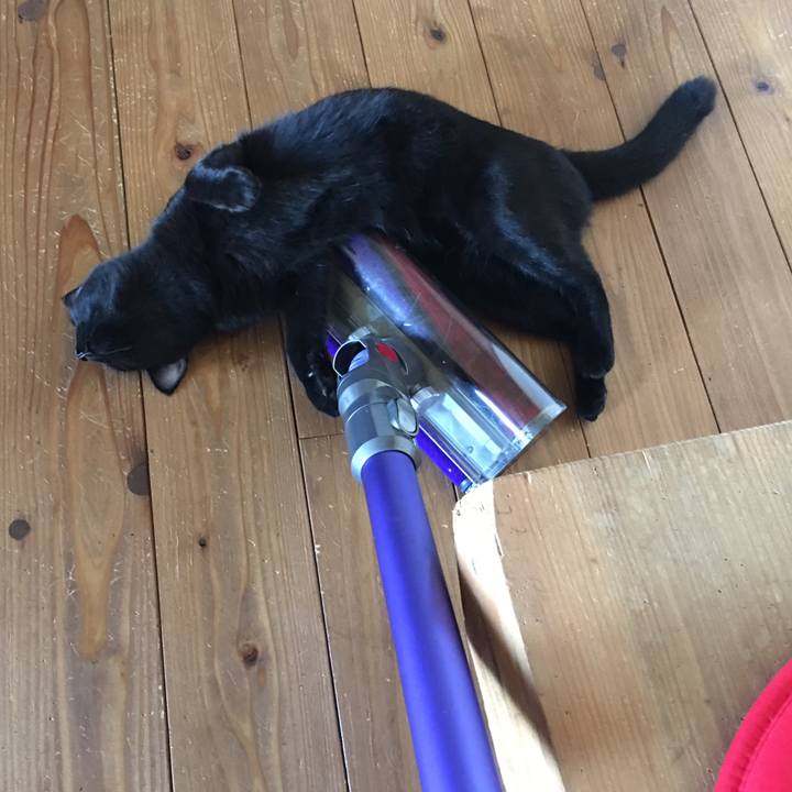 87722769 1ca0 4007 9c48 7630a834703c