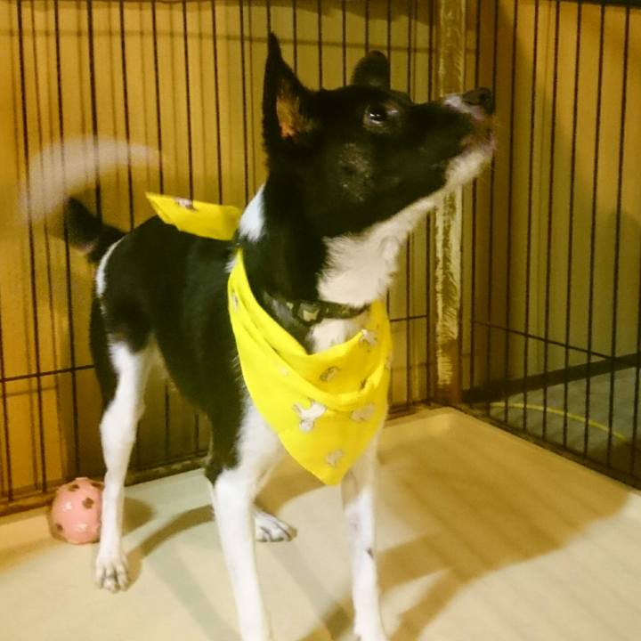 87722956 f1f0 4185 9971 d7865f18e578