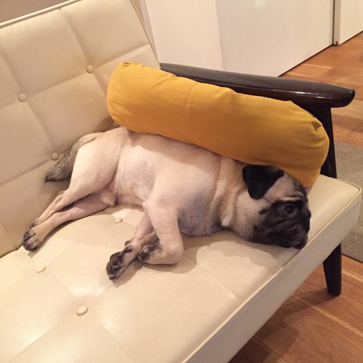 87724f2c e8e7 48c8 9257 2daba6300ef8