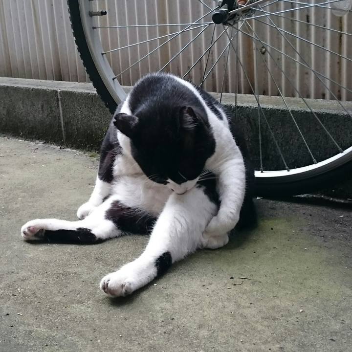 8772905b 80fb 4d48 8b71 e180ea26f2b5