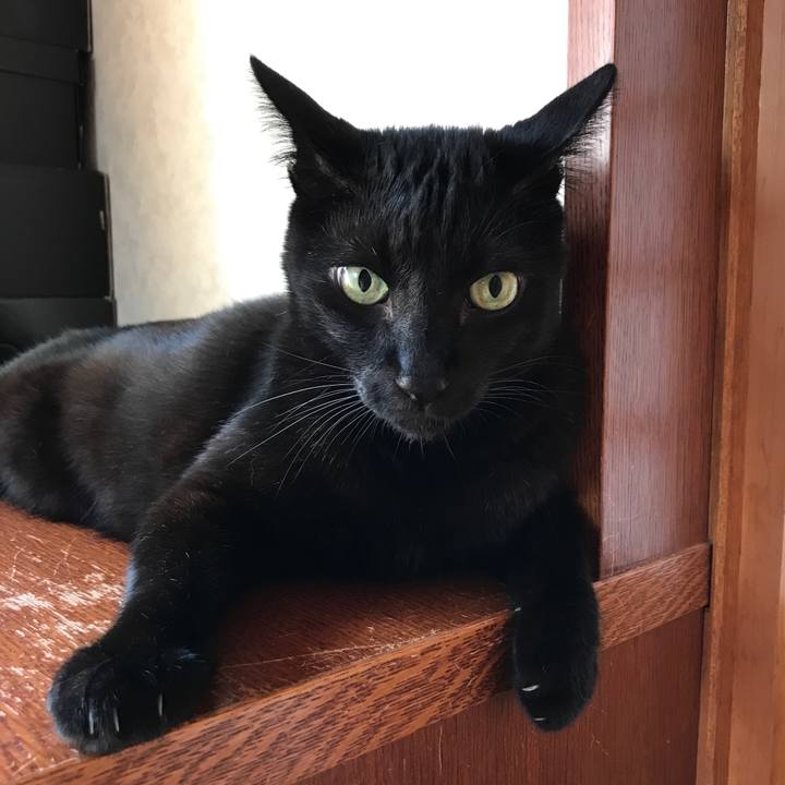 8772f801 1836 428c b5c2 9eedf7fd5a1f