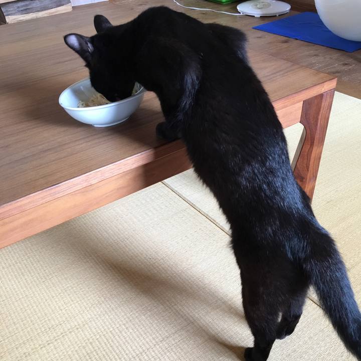 8773bddc 9130 442b b025 0c9d5f21d4cc