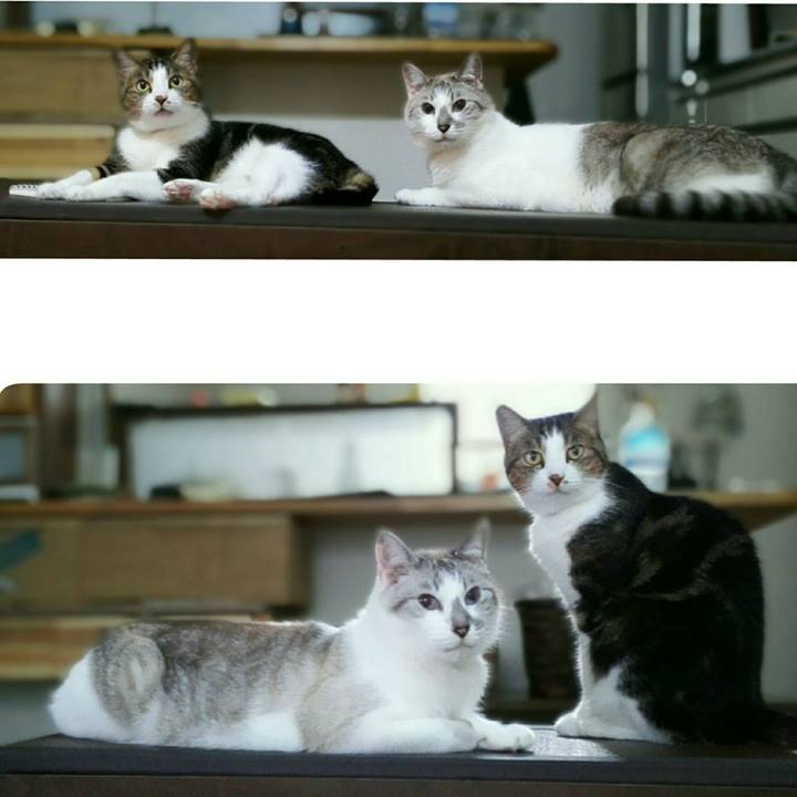 87747432 fa4a 4640 a4ed cca01c8bad59