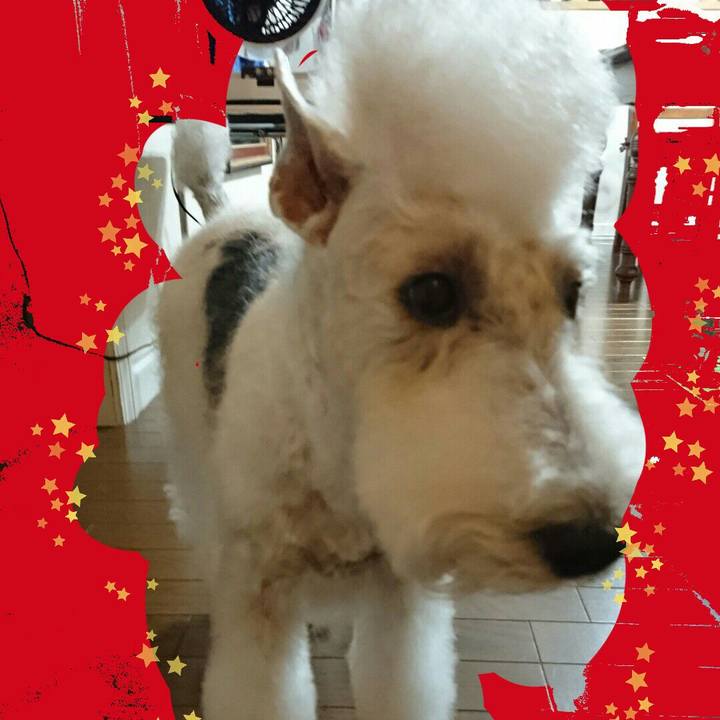 8774799e 4b27 41cd ad86 9f8ca07bef39