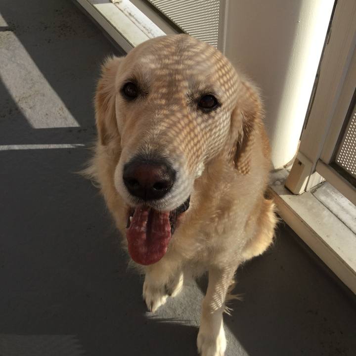 8774da11 18be 4381 8f45 17e038ac20a4