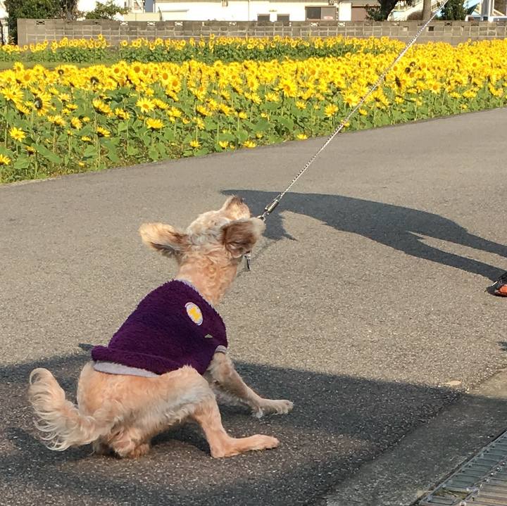 8775667c 64f3 4d0a 8907 296dbc278f91