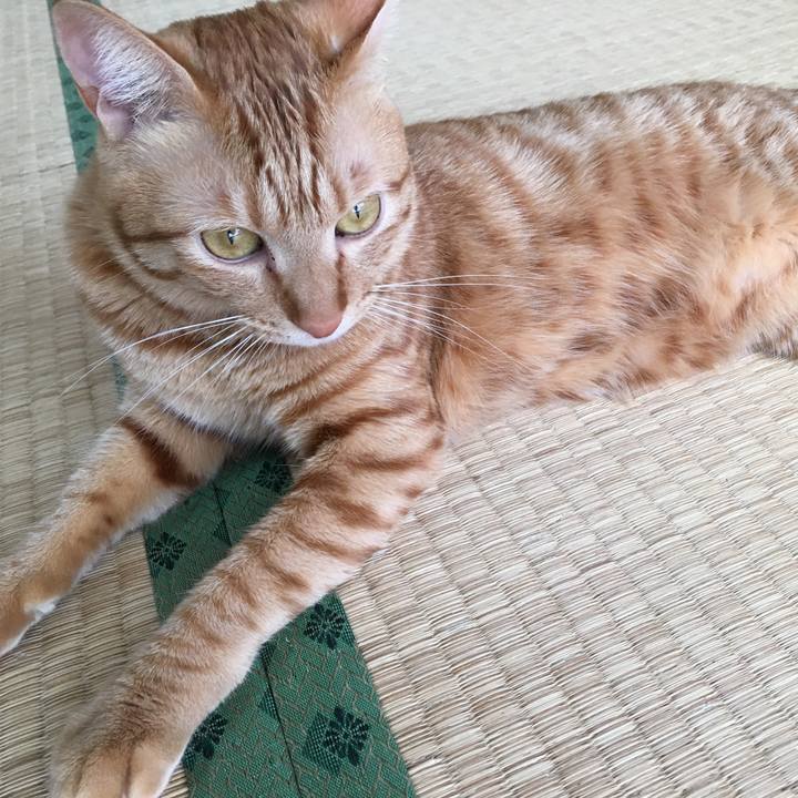 877595fd ee41 45b3 9184 f207bd30cf38