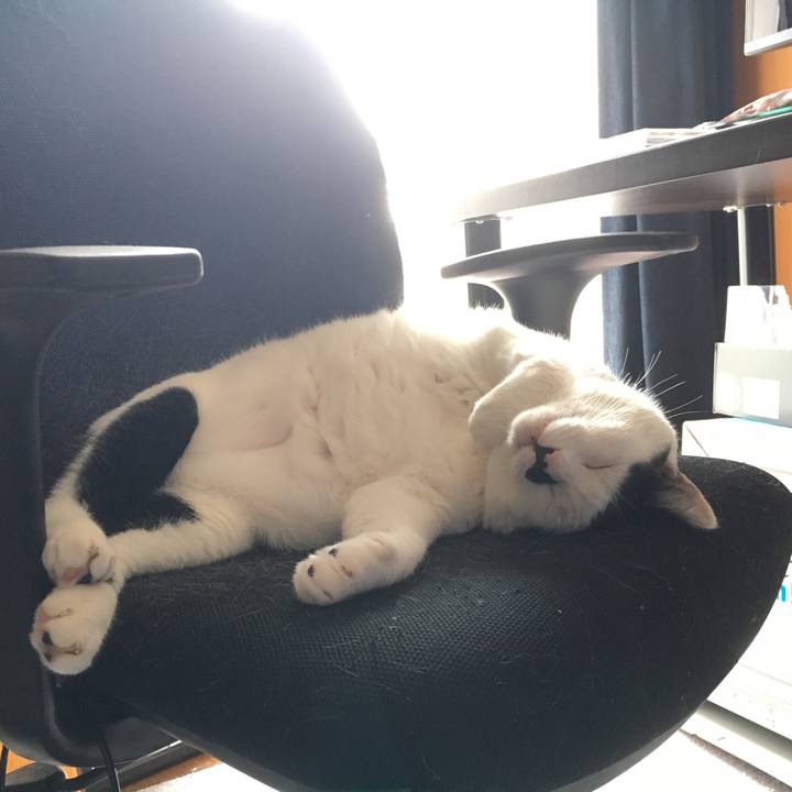 8775b00d ee86 4c8b b344 cc0e73ea9360