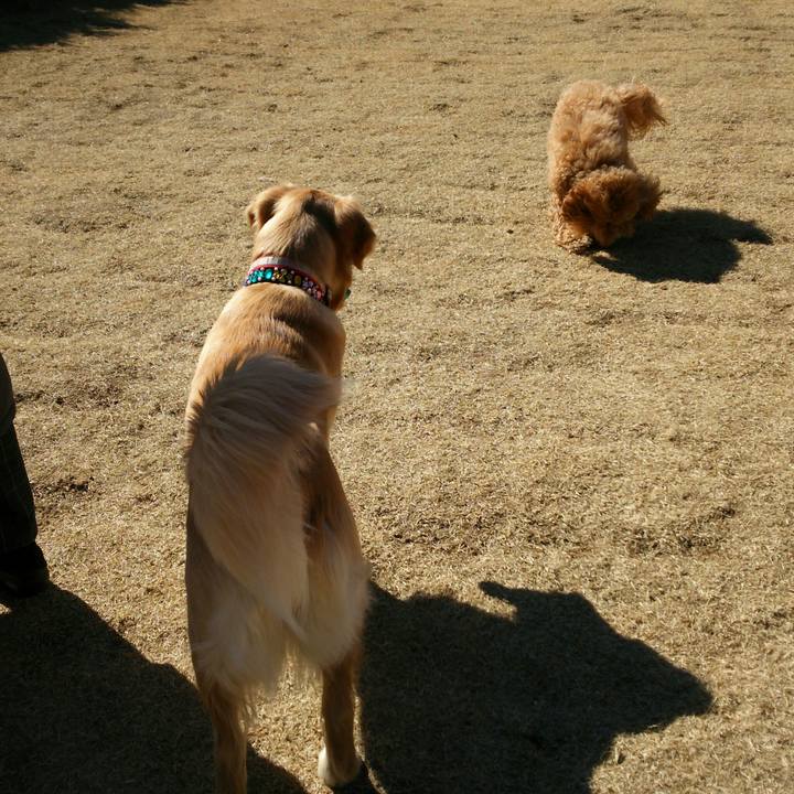 877657d1 953f 4f25 897b 6dddd54a6b7e