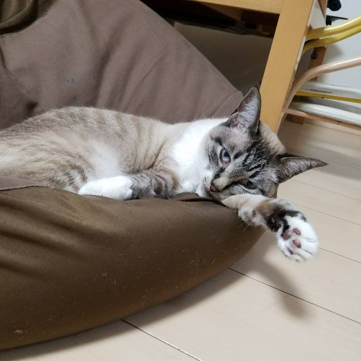 87768379 e026 4071 94ed 50003fd80605