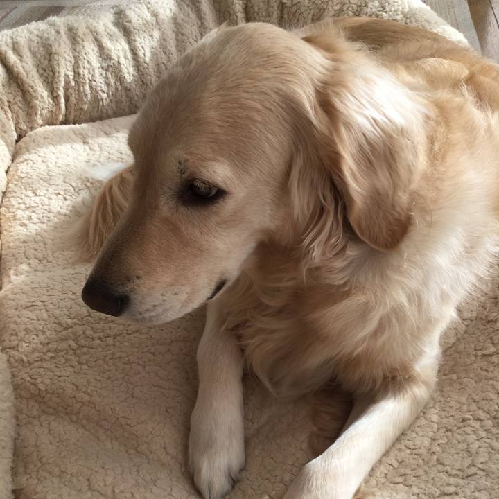 87769962 0a05 4e9d 9973 ec8f4b55aed5