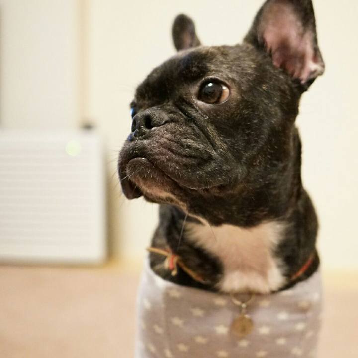 8776b757 ac3f 4ffb 887e a6a411df9da3