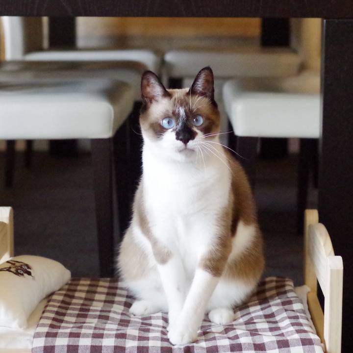 8777507d c063 4e39 9293 5e1eb24c111d