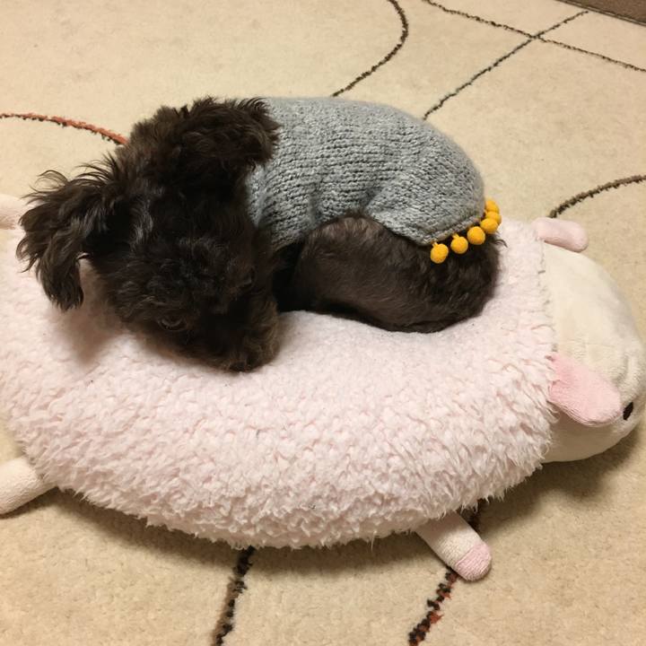 8778a311 b395 4091 a08e 0df6e5252ea2