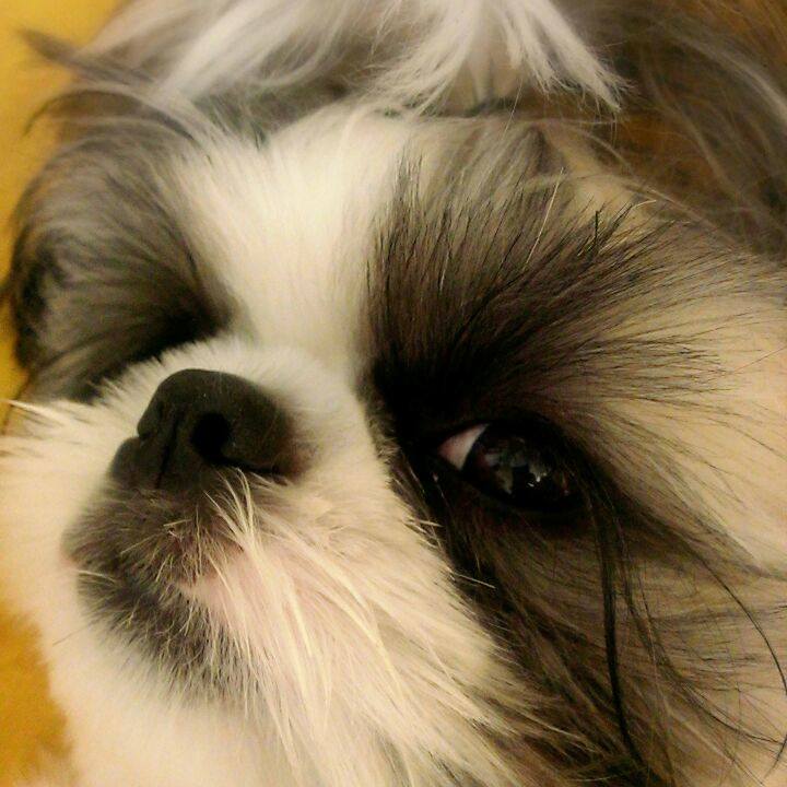 87796cb8 8706 400a b4a8 532486985fc0