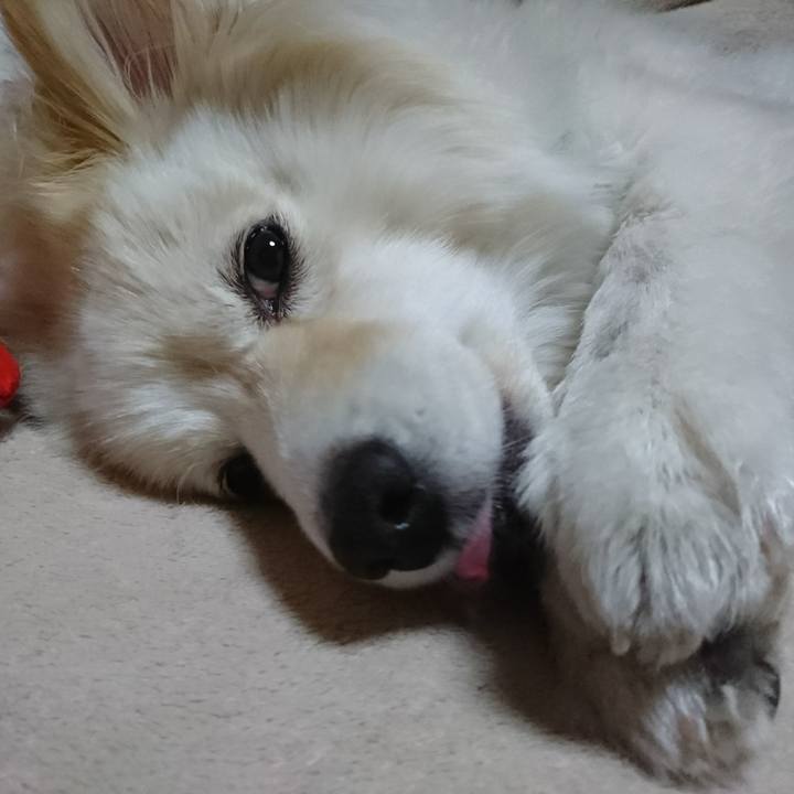 8779e81b 4e6f 4b11 9cf1 7bc01a6c30e4