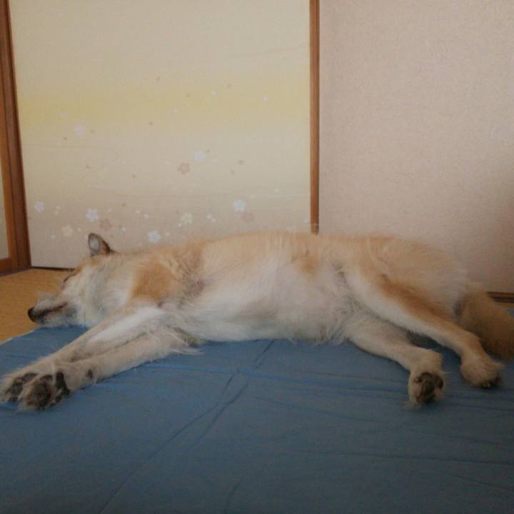 877a8852 8635 4f32 9bfe 1d8b8b3dc271