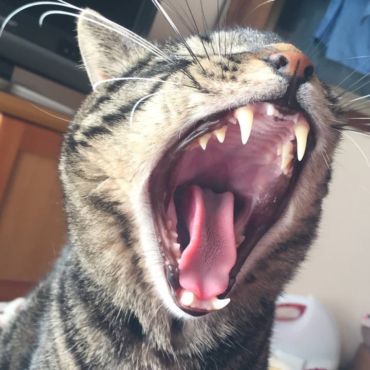 877a8c94 0328 4f35 8869 afef37e57c84