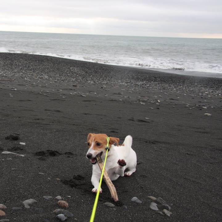 877a9e33 f603 43a8 ae29 1e0ed087cd3c